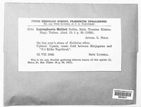 Image Associated With the Occurence
